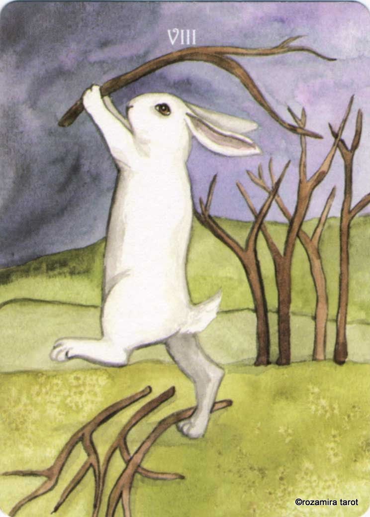 Rabbit Tarot